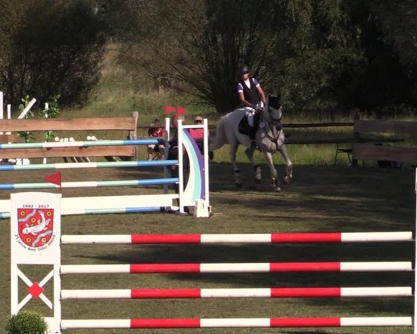Reitturnier Pinnow 2024