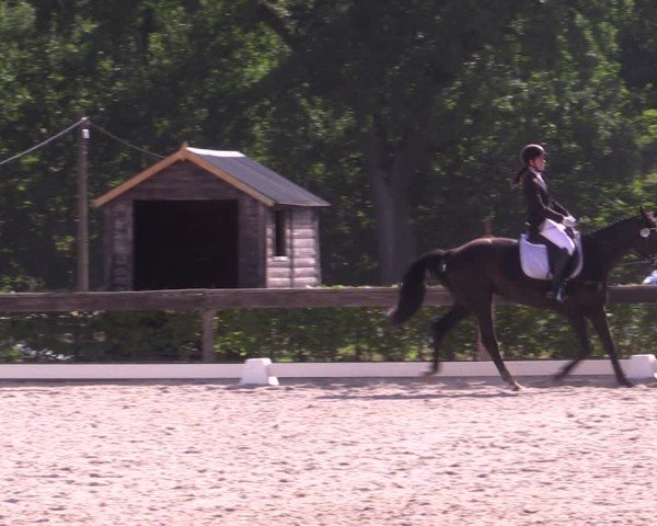 Reitturnier Müncheberg 2024