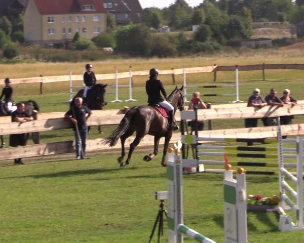 Reitturnier Pinnow 2024