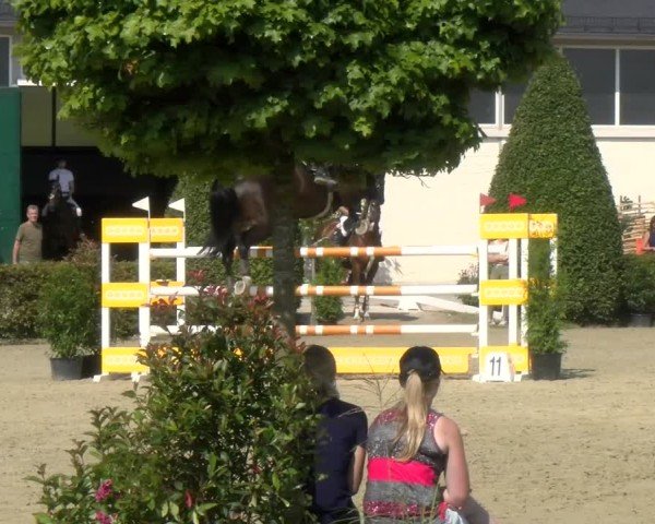 Reitturnier St.Wendel, Gestüt Welvert 2024