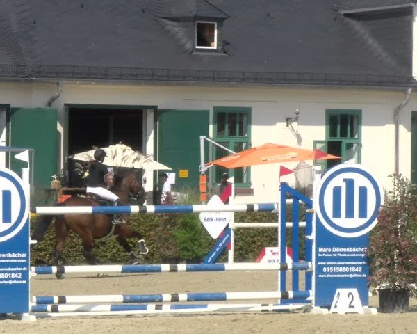 Reitturnier St.Wendel, Gestüt Welvert 2024