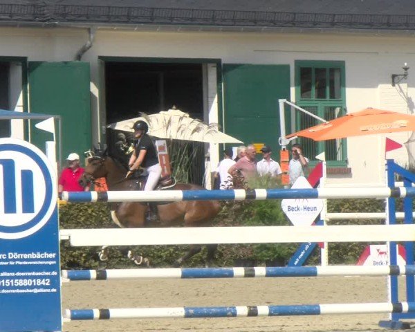Reitturnier St.Wendel, Gestüt Welvert 2024