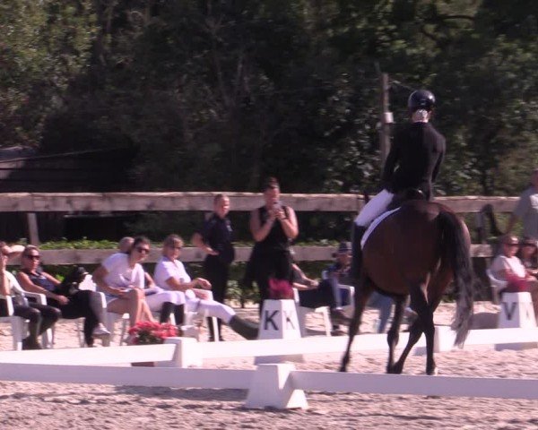 Reitturnier Müncheberg 2024