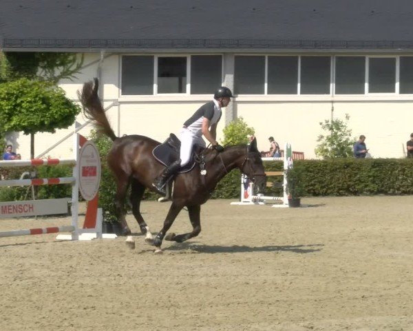 Reitturnier St.Wendel, Gestüt Welvert 2024