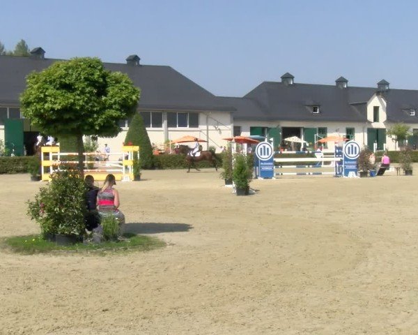 Reitturnier St.Wendel, Gestüt Welvert 2024
