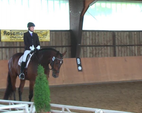 Remmighausen 2013