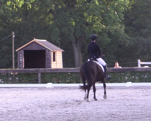 Reitturnier Müncheberg 2024