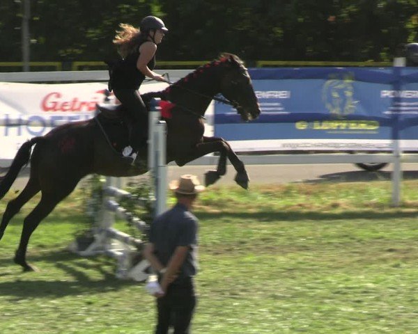 Reitturnier Müncheberg 2024