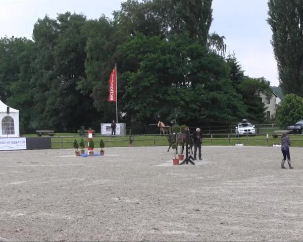 Remmighausen 2013