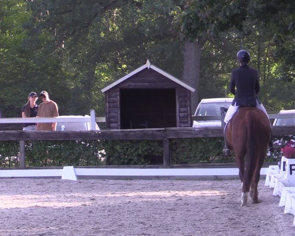 Reitturnier Müncheberg 2024