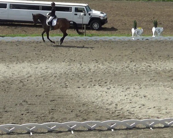 Reitturnier Dornbirn 2024