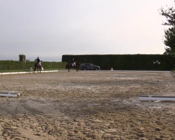 Reitturnier Ennigerloh-Neubeckum 2024