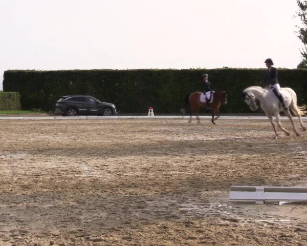 Reitturnier Ennigerloh-Neubeckum 2024