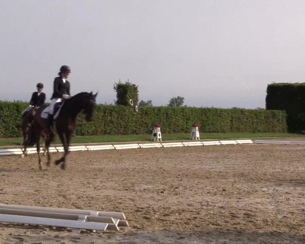 Reitturnier Ennigerloh-Neubeckum 2024