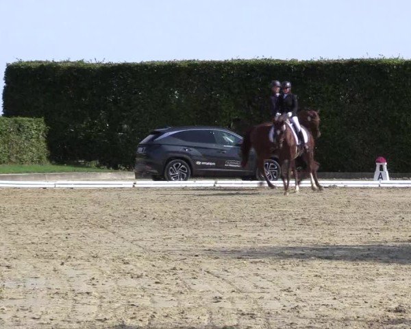 Reitturnier Ennigerloh-Neubeckum 2024
