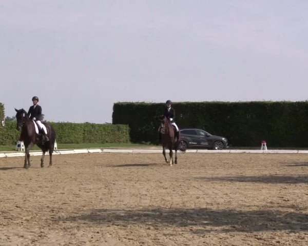 Reitturnier Ennigerloh-Neubeckum 2024