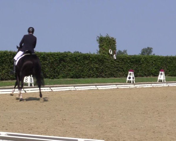 Reitturnier Ennigerloh-Neubeckum 2024