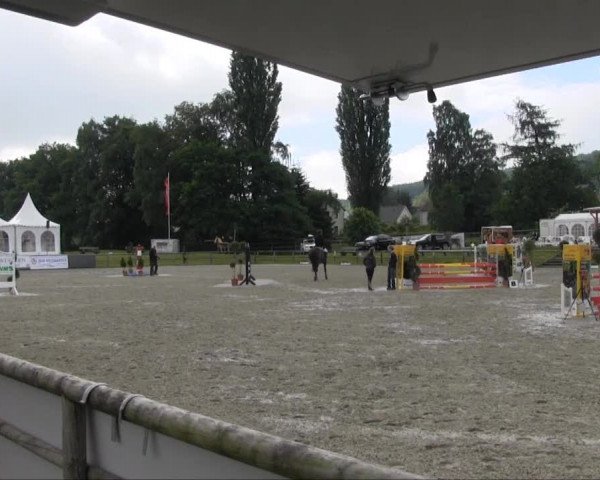 Remmighausen 2013