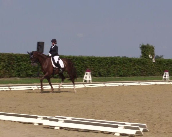 Reitturnier Ennigerloh-Neubeckum 2024