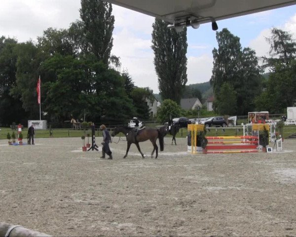 Remmighausen 2013