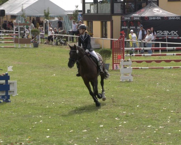 Reitturnier Reckahn 2024