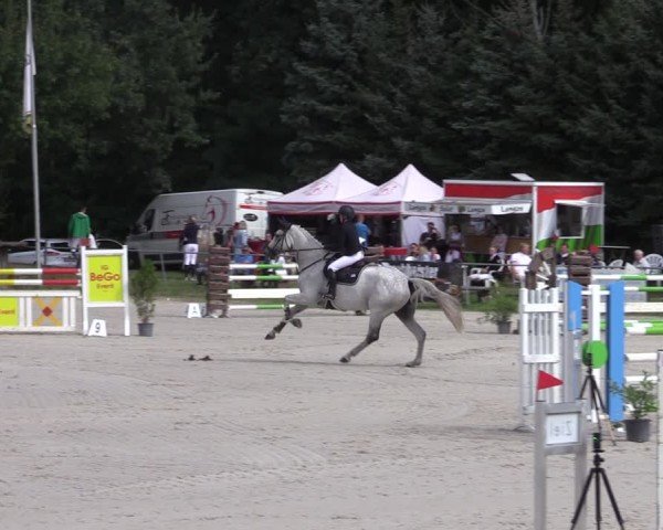 Reitturnier Pietzpuhl 2024