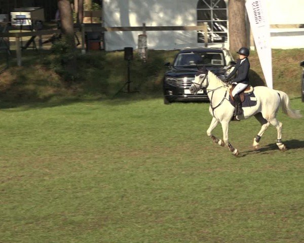 Reitturnier Dannenberg 2024