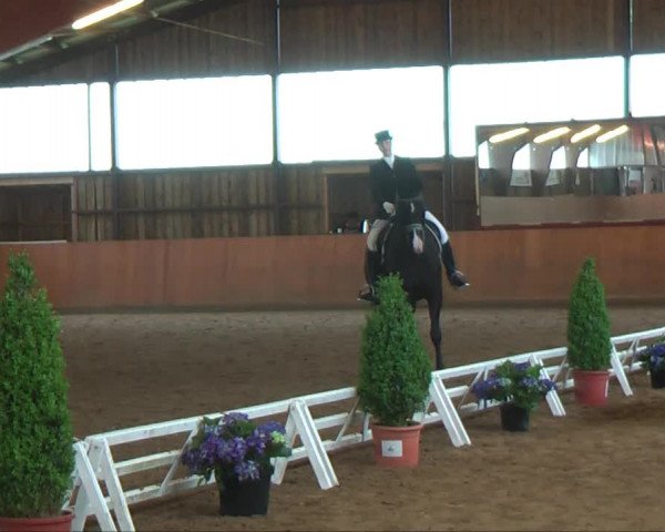 Remmighausen 2013