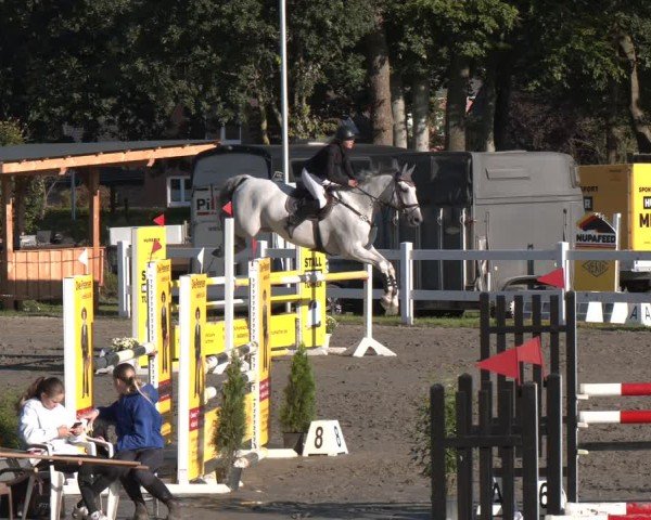 Reitturnier Springturnier Mildstedt 2024
