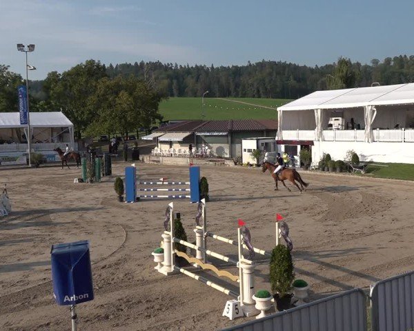 Reitturnier Humlikon 2024