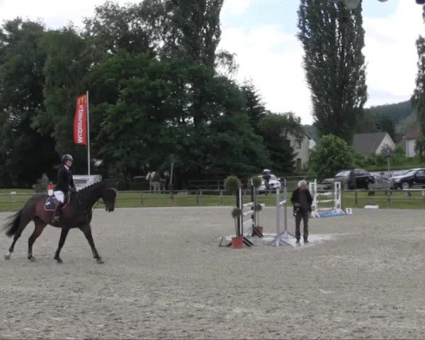 Remmighausen 2013