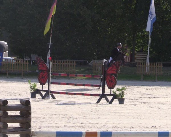 Reitturnier Pietzpuhl 2024
