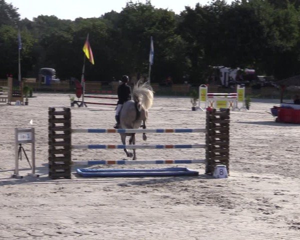 Reitturnier Pietzpuhl 2024