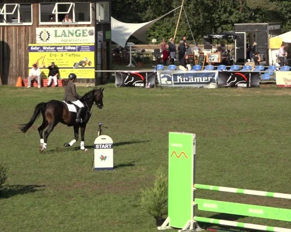 Reitturnier Dannenberg 2024