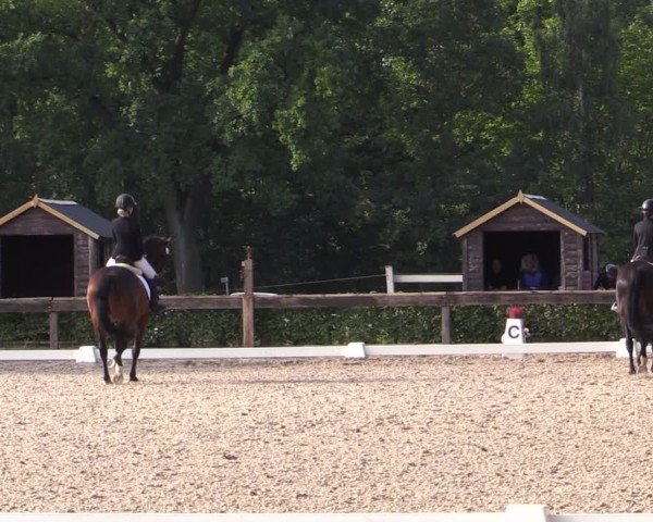 Reitturnier Müncheberg 2024