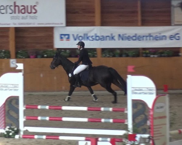 Springturnier Xanten - Reitanlage Miss 2021