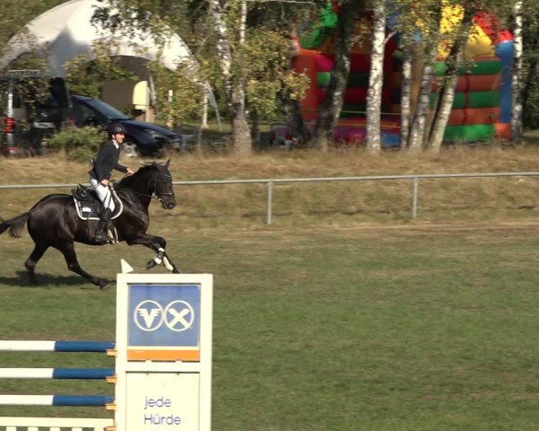 Reitturnier Dannenberg 2024