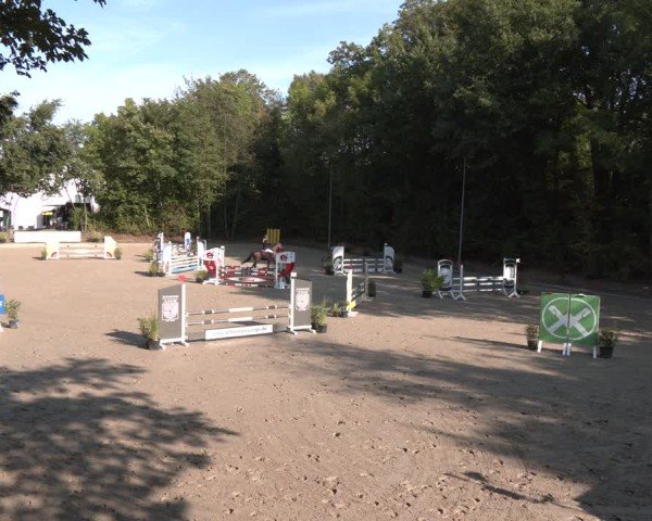 Reitturnier Köln-Flittard (Scheuerhof) 2024