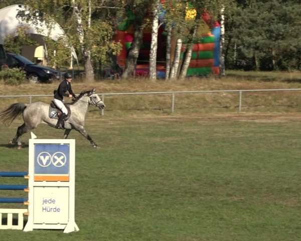 Reitturnier Dannenberg 2024