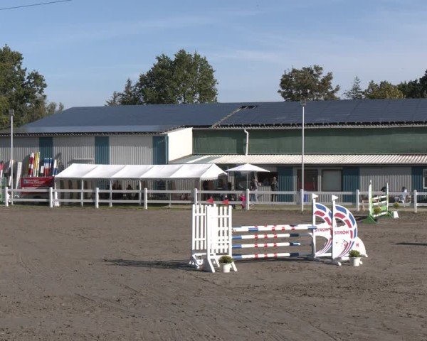 Reitturnier Springturnier Mildstedt 2024