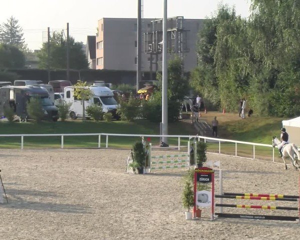 Reitturnier Bülach 2024