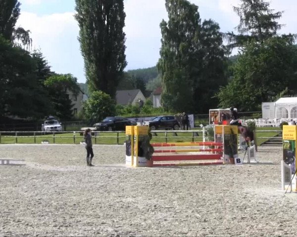 Remmighausen 2013