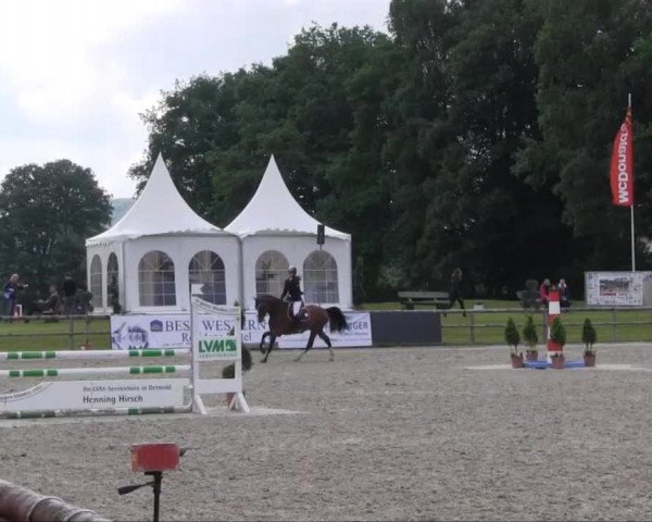Remmighausen 2013
