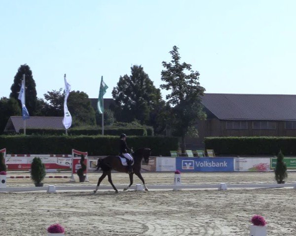 Reitturnier Ennigerloh-Neubeckum 2024