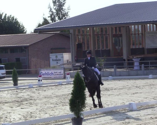 Reitturnier Ennigerloh-Neubeckum 2024