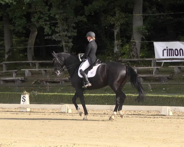 Reitturnier Neu-Anspach / Wintermühle 2021