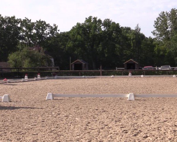 Reitturnier Müncheberg 2024