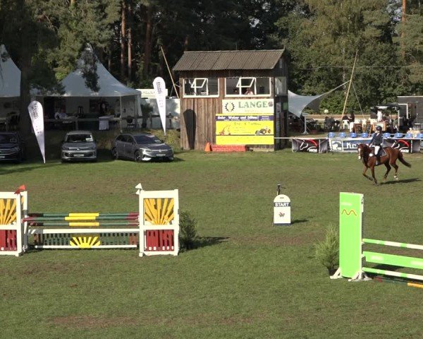 Reitturnier Dannenberg 2024