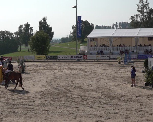 Reitturnier Humlikon 2024
