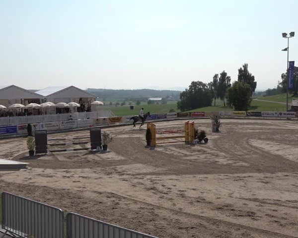 Reitturnier Humlikon 2024
